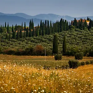 Landhaus Tenuta Di Poggio Cavallo, Istia dʼOmbrone